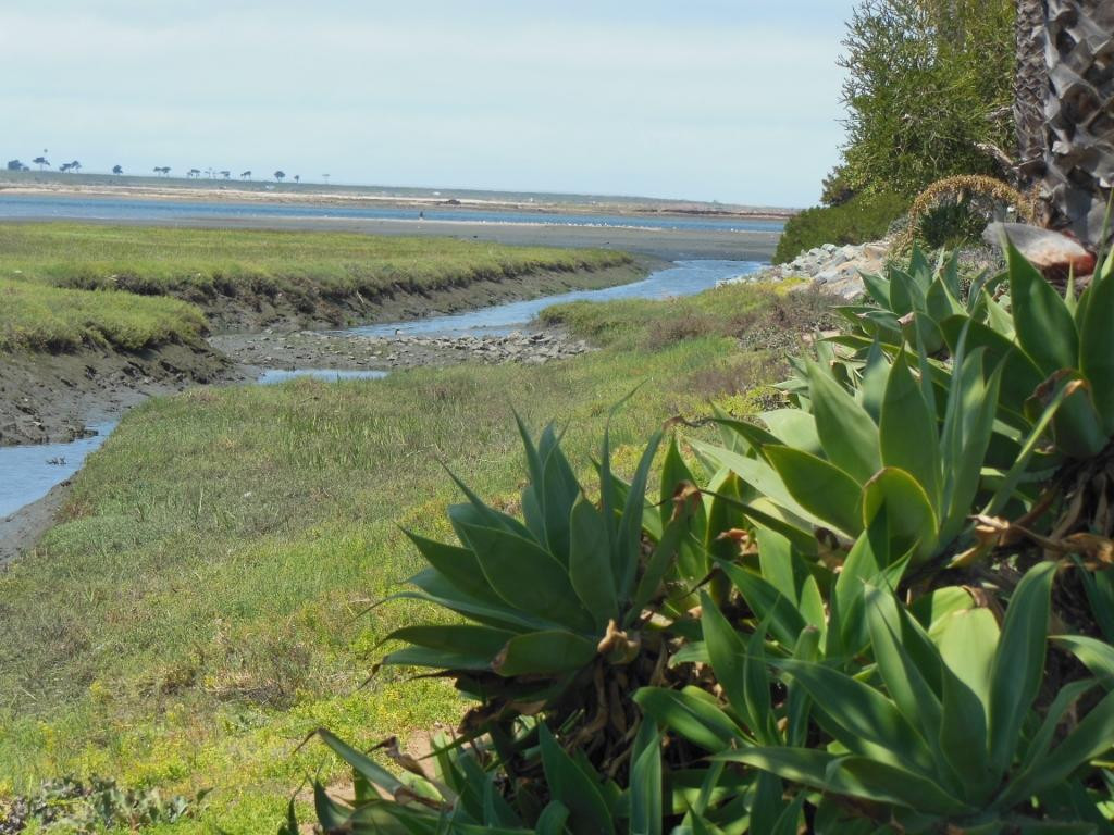 Marina View Park-丘拉维斯塔必去景点