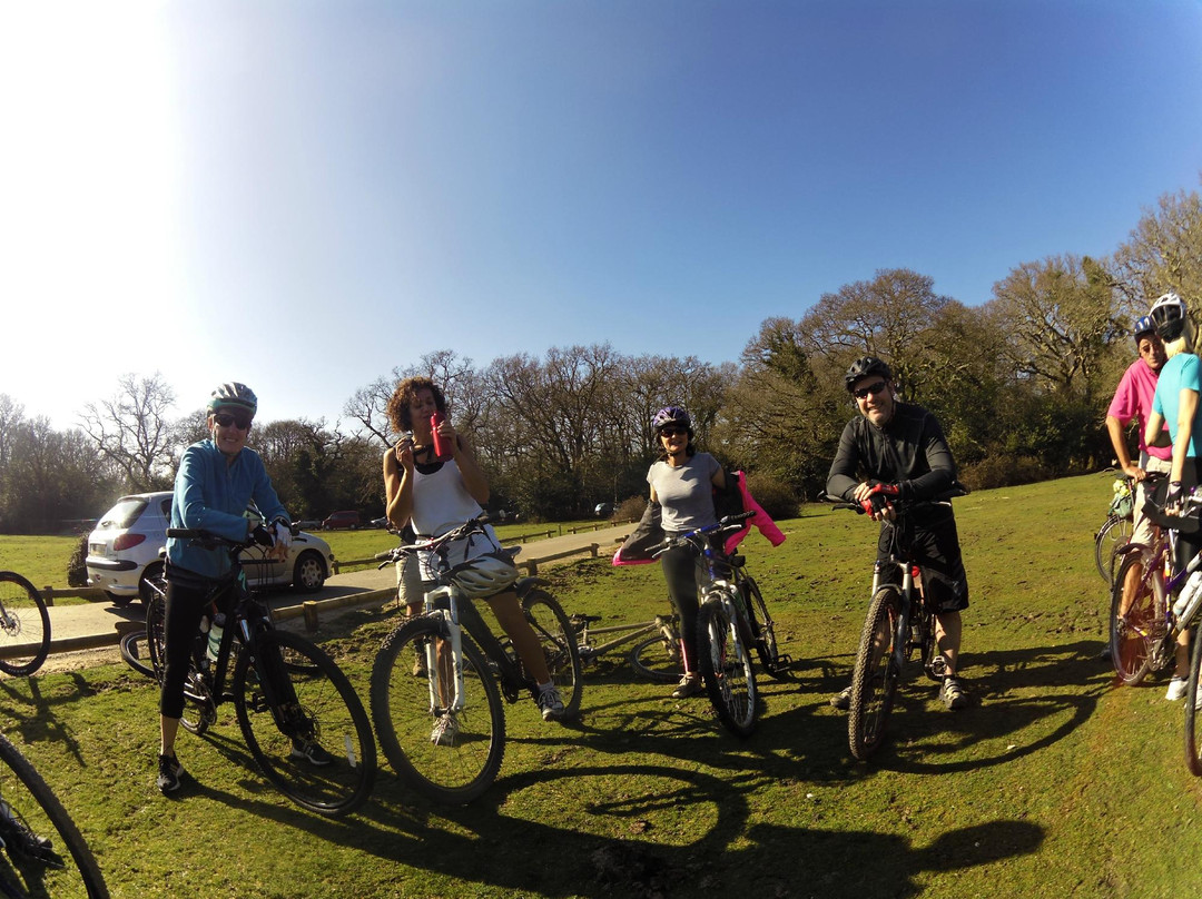 New Forest Cycling Guide景点图片