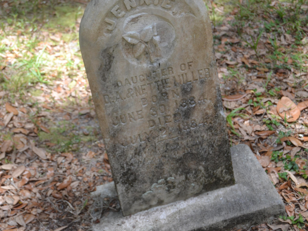 Micanopy Cemetery-Micanopy必去景点