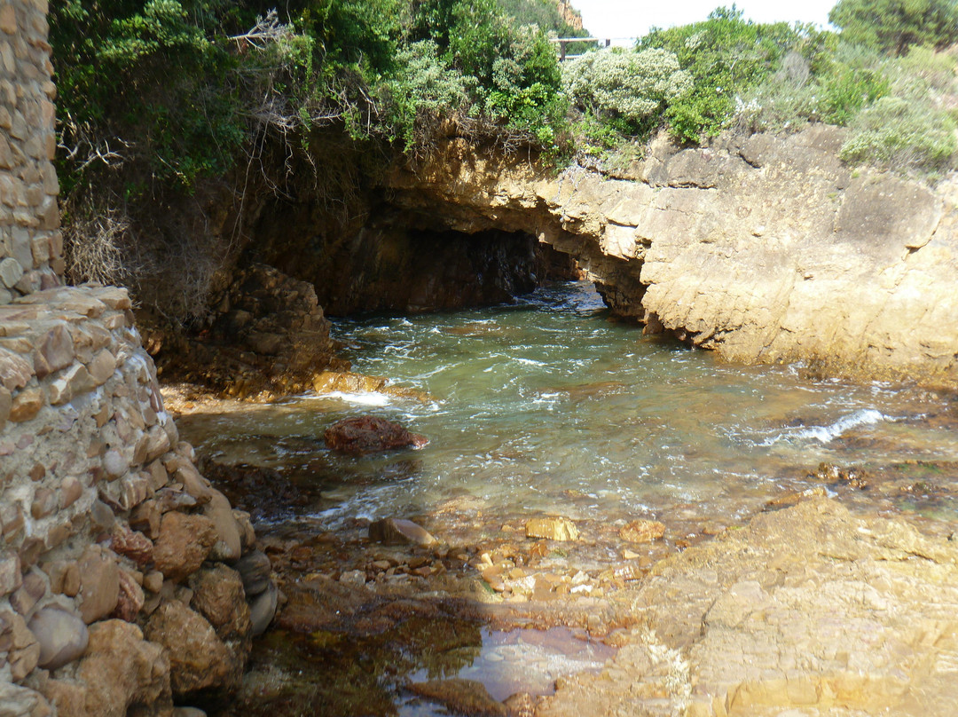Knysna Lagoon-克尼斯纳必去景点
