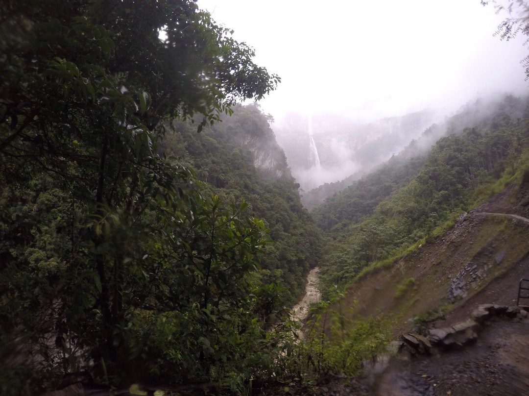 San Juan waterfalls-Coroico必去景点