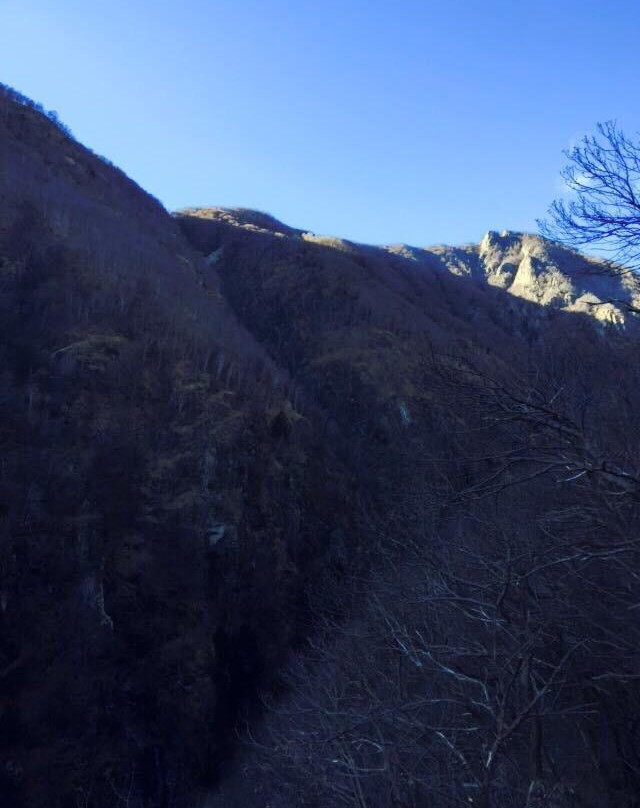 Tibetan bridge "Carasc"景点图片