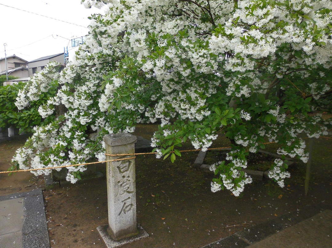 Okanominato Shrine-芦屋町必去景点