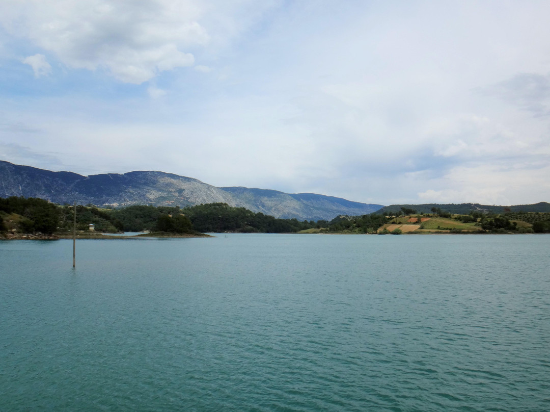 Green Lake景点图片