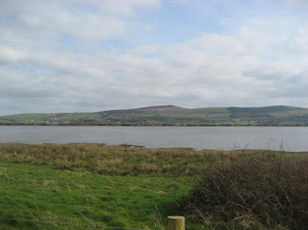 Inch Wildfowl Reserve-Burt必去景点