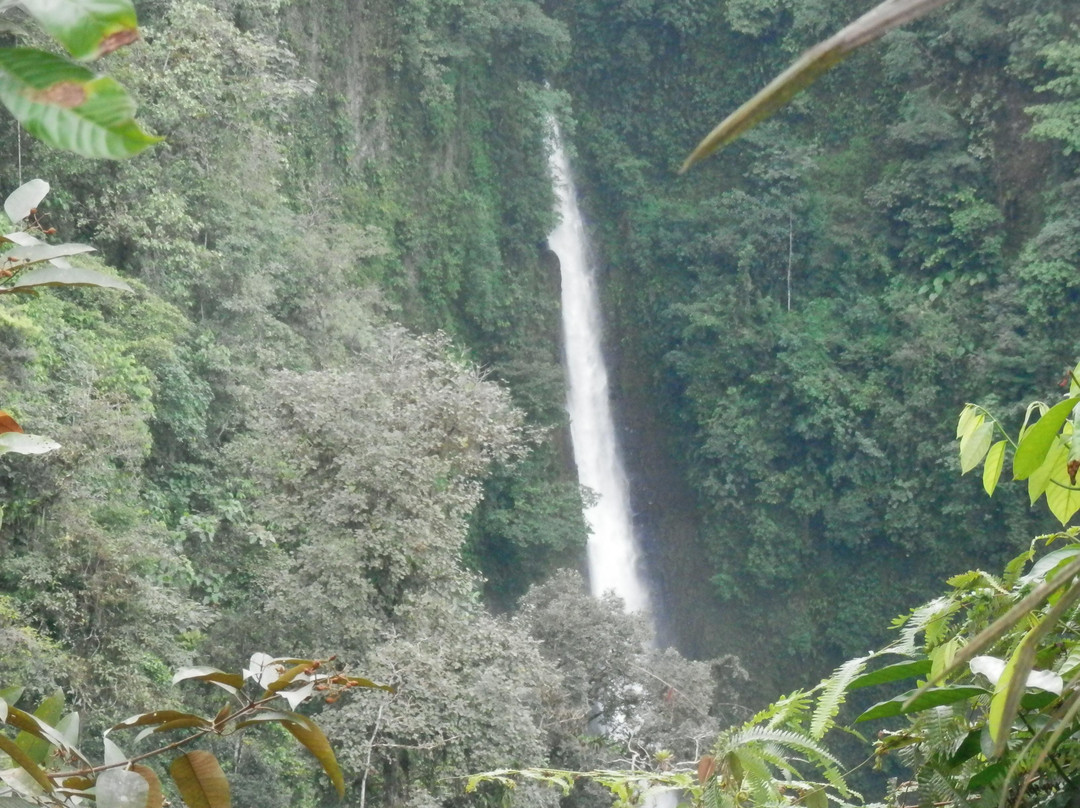 Cascada Tatala景点图片