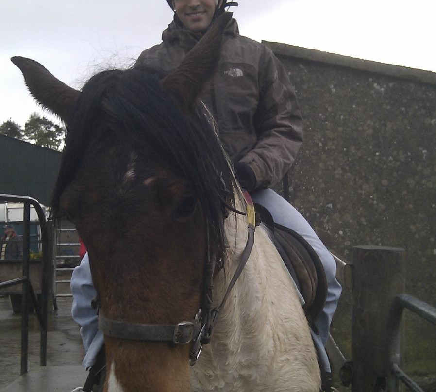 Mount Pleasant Pony Trekking and Horse Riding Centre景点图片