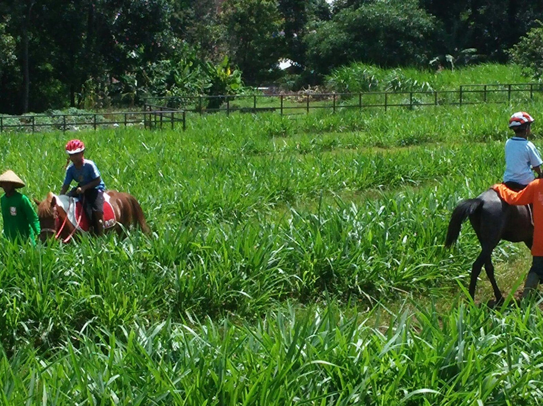Kuntum Farmfield景点图片