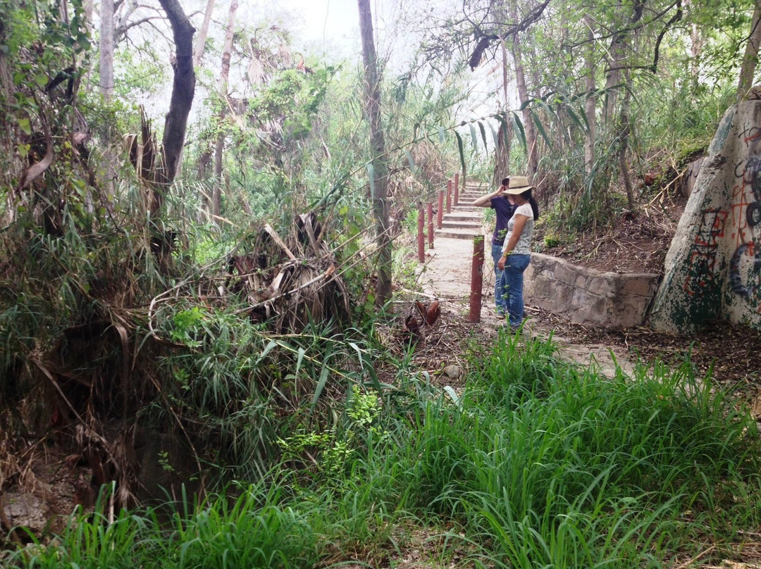 McAllen Nature Center-麦卡伦必去景点