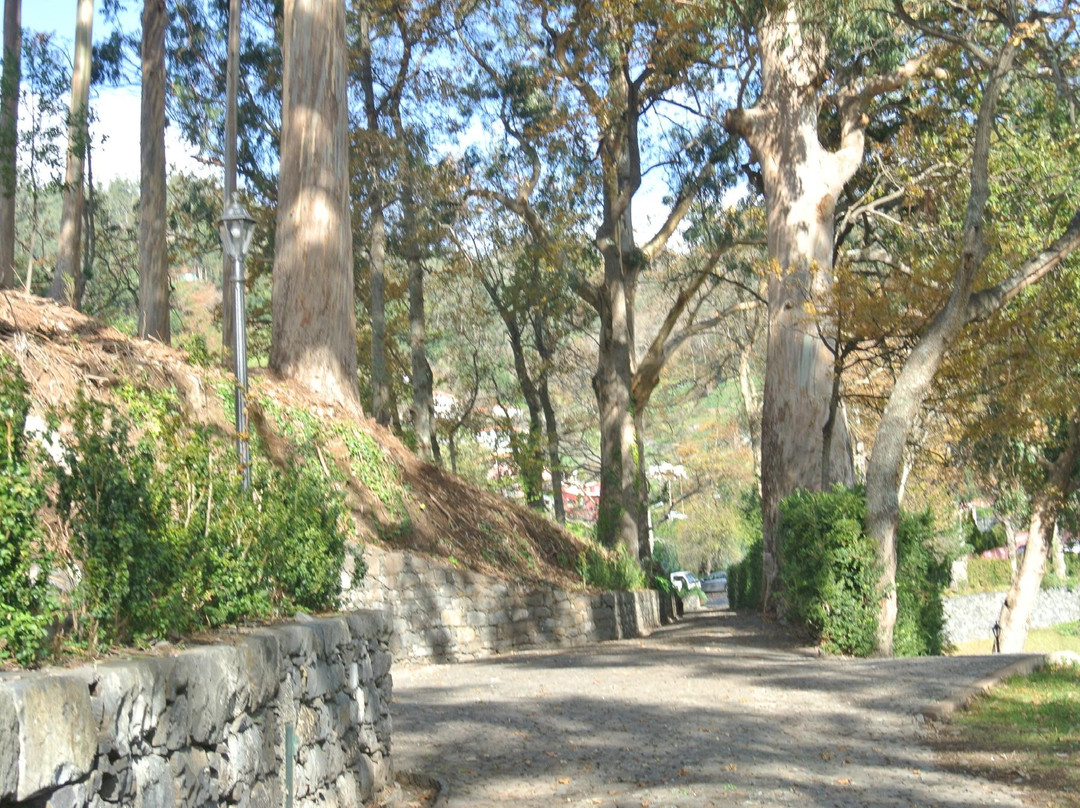 Camara De Lobos酒店住宿-Hotel Quinta da Serra