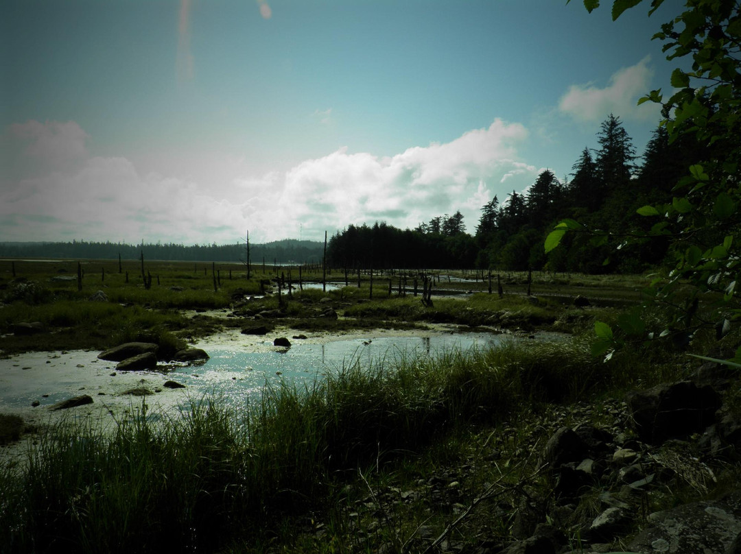 Delkatla Wildlife Sanctuary-Masset必去景点