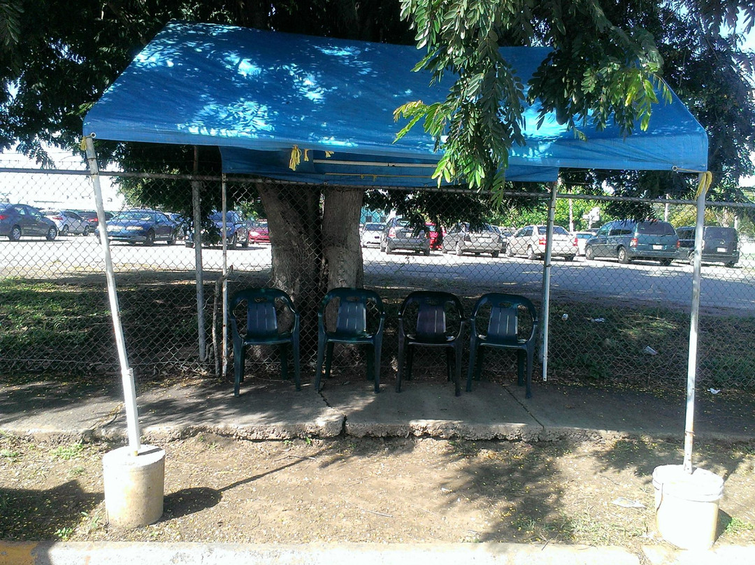 Yauco旅游攻略图片