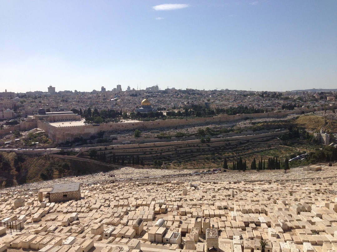 Harvest Moon - Israel’s Theme Tours Center-Modiin必去景点