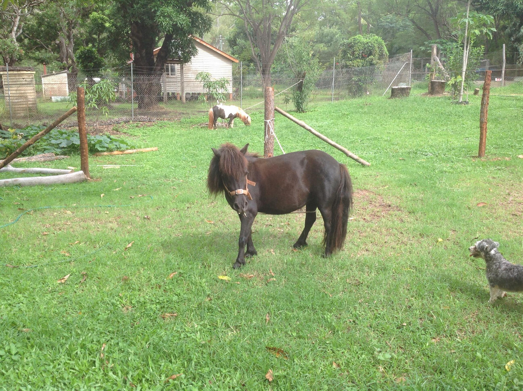 Irvinebank Bed and Breakfast主图