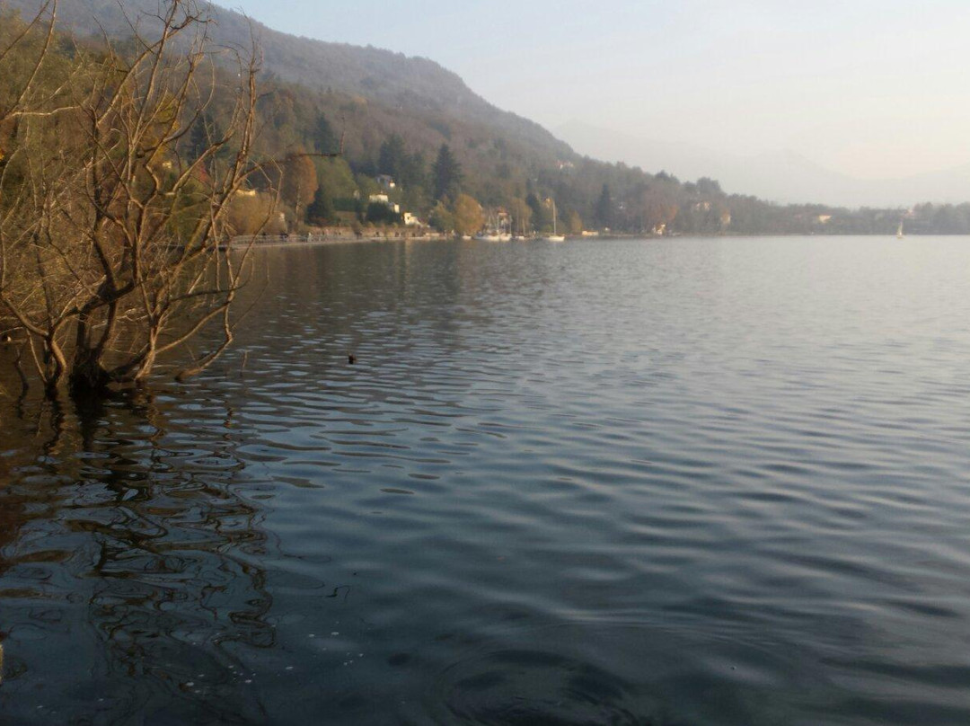 Parco Naturale dei Laghi di Avigliana景点图片