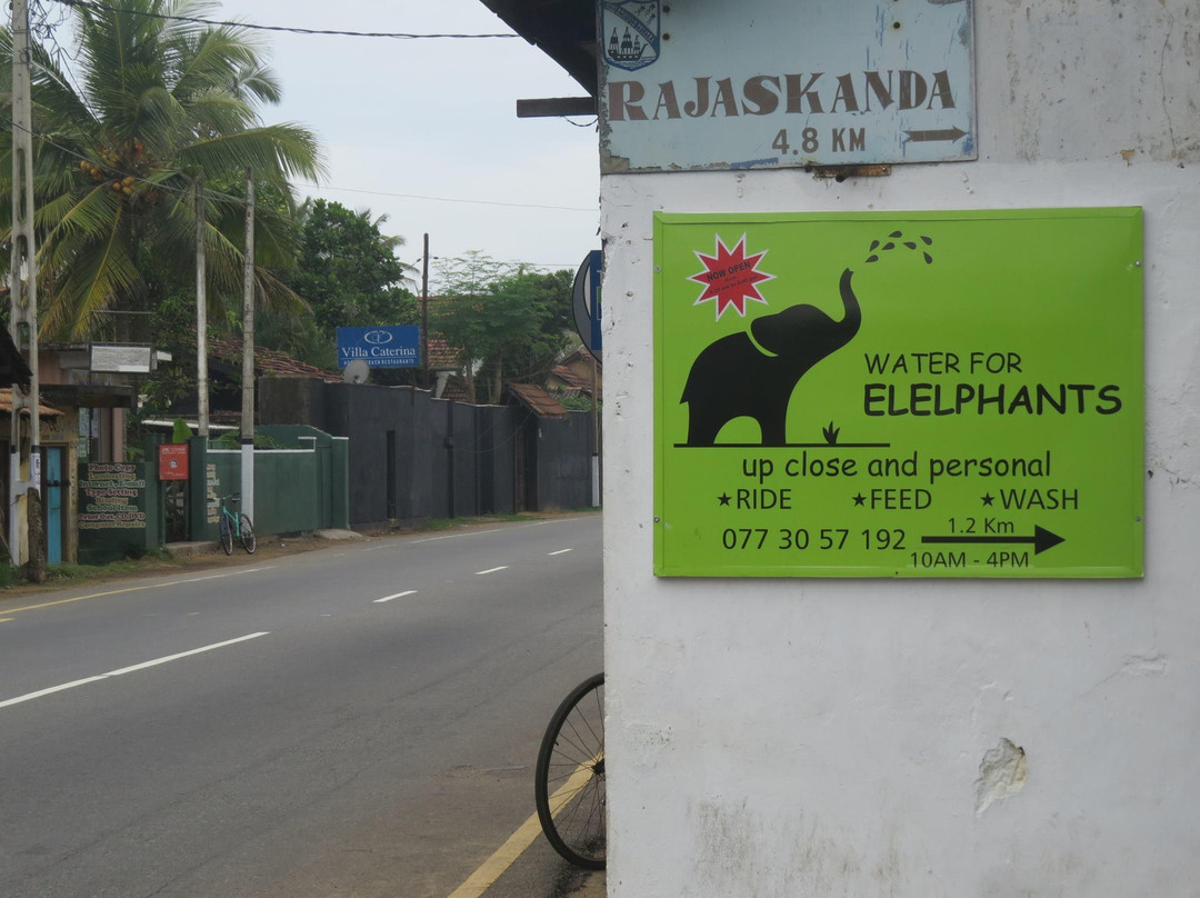 Water For Elephants-Pitiwella必去景点