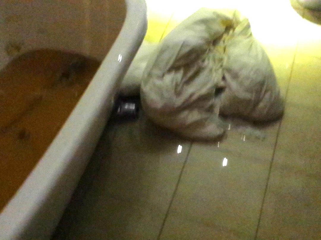 Oru酒店住宿-Manniaru Puhkemajad BO KA Pubi