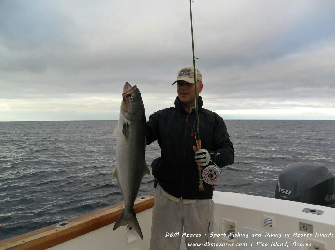 DBM Azores - Sport Fishing Charters-Sao Roque do Pico必去景点
