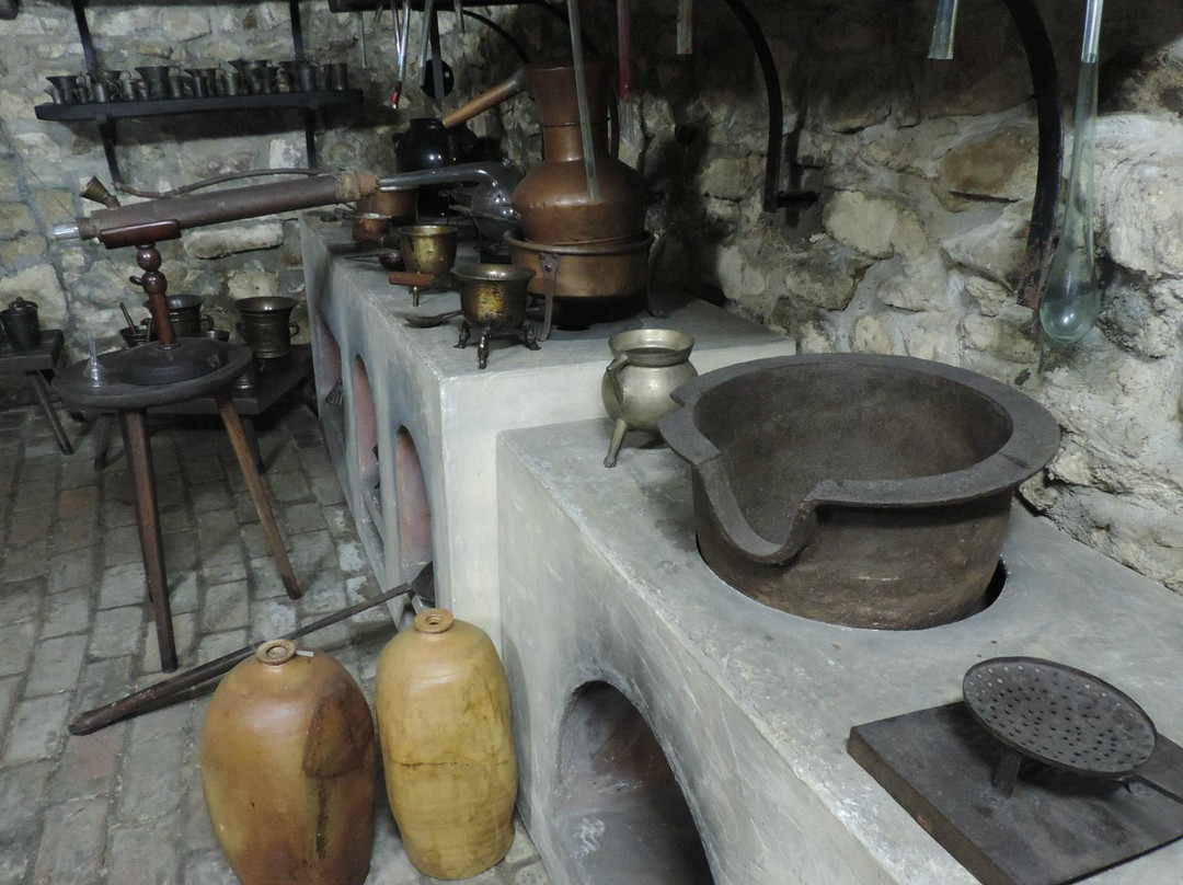 The Pharmacy Museum Cluj  - Mnit景点图片
