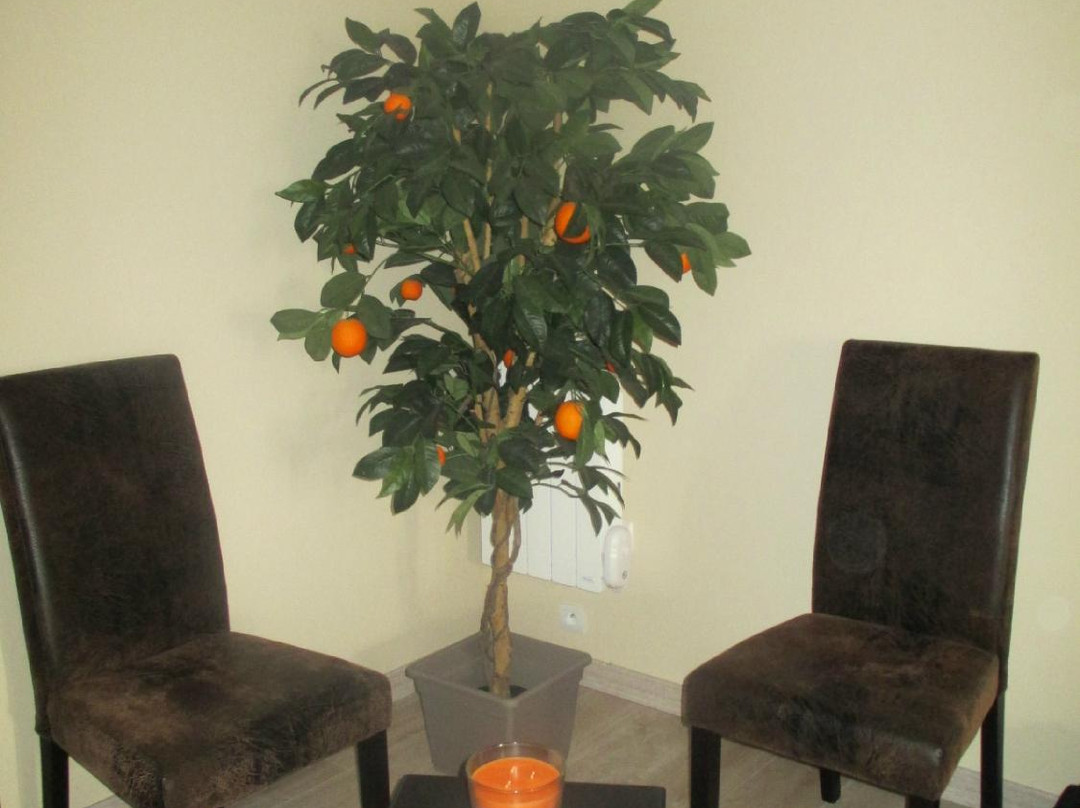 Domaine de Maumont主图