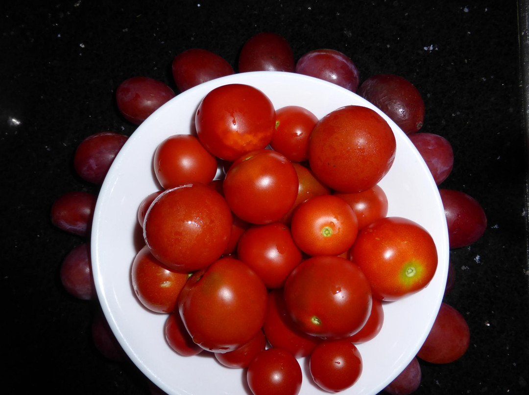 Palm Garden House主图