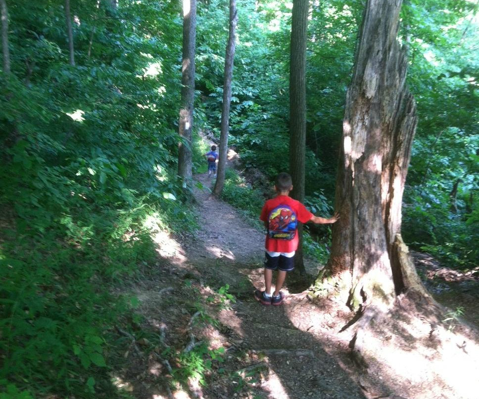 Mt Gilead Ohio State Park景点图片