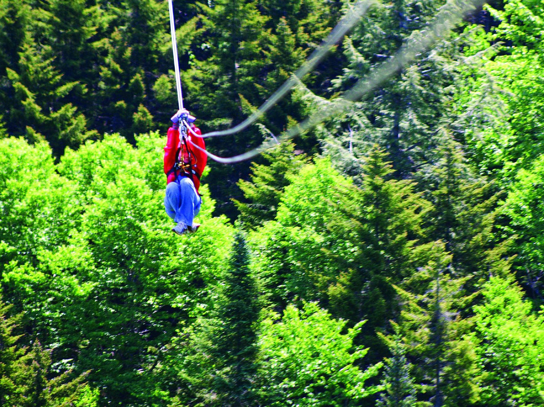 Bretton Woods Canopy Tour-布雷顿森林必去景点