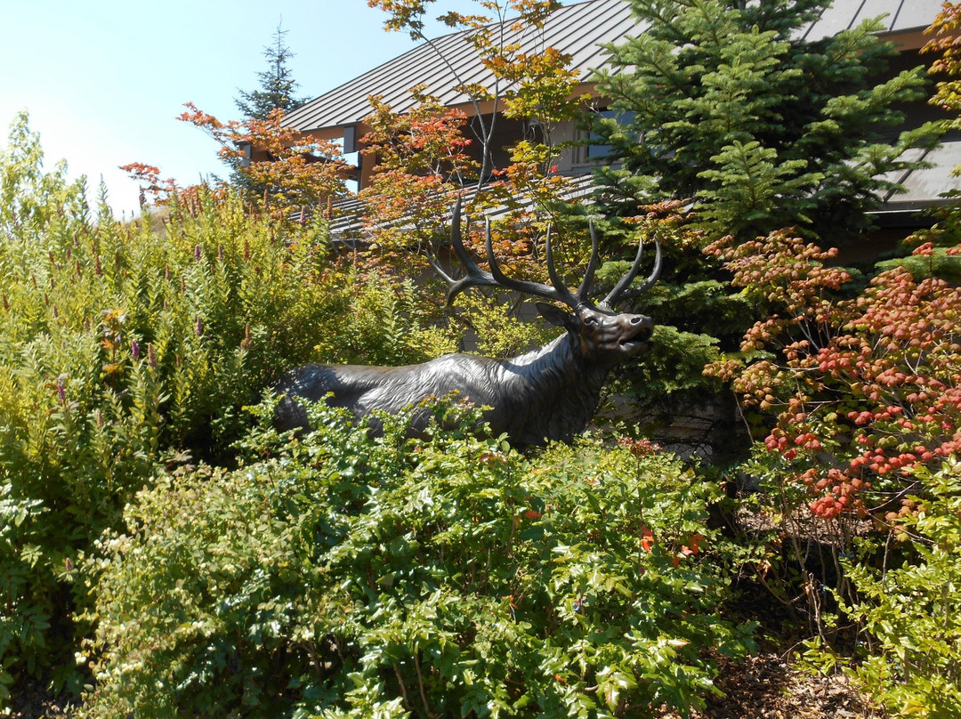The Forest Learning Center at Mount St. Helens景点图片