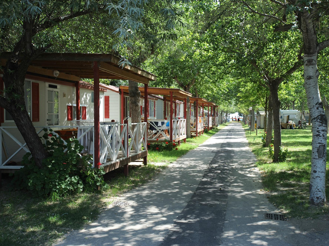 Camping Surabaja