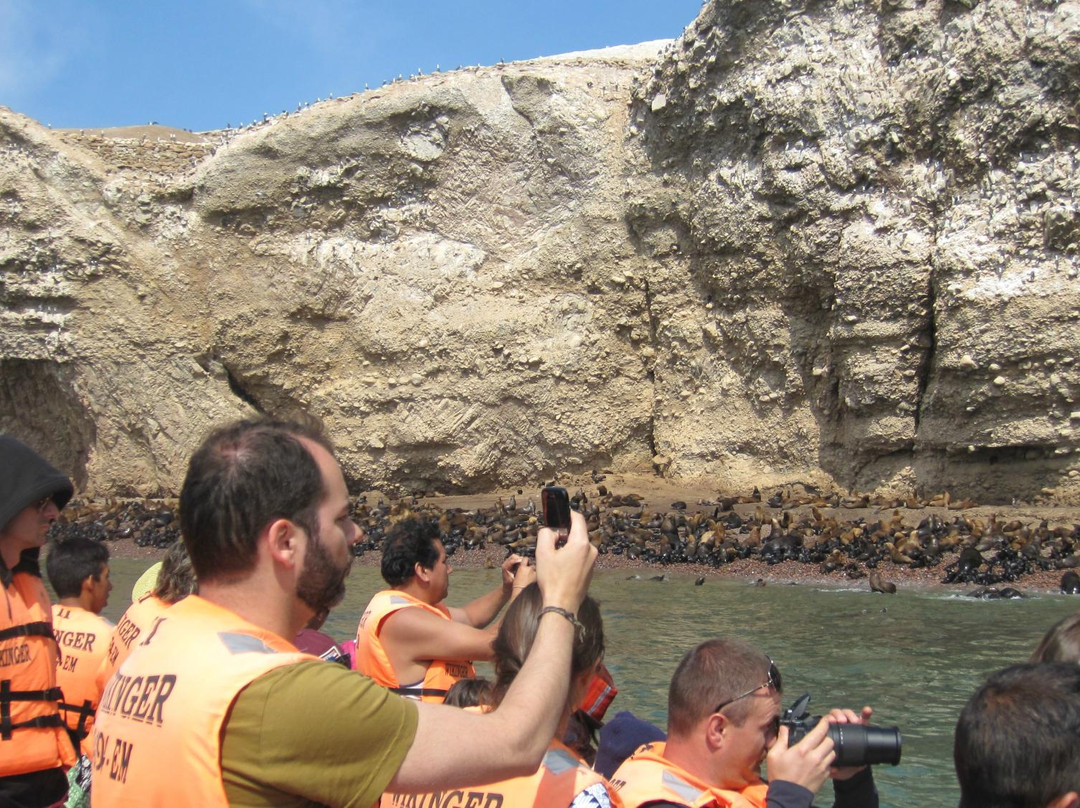 South Americans Secrets-帕拉卡斯必去景点