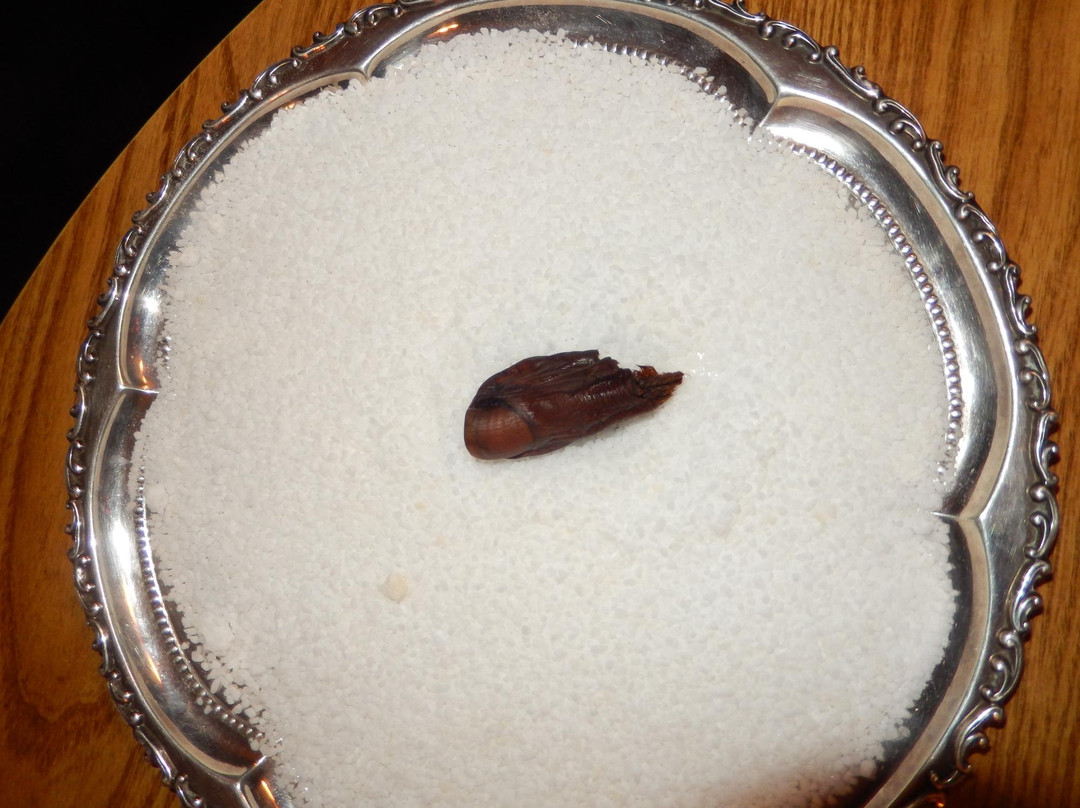 道森市餐馆和美食-Bonanza Dinning Room & Sluice Box Lounge