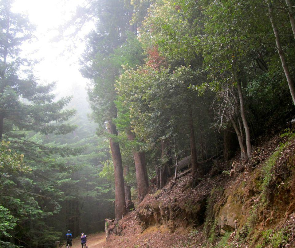 El Corte De Madera-Woodside必去景点