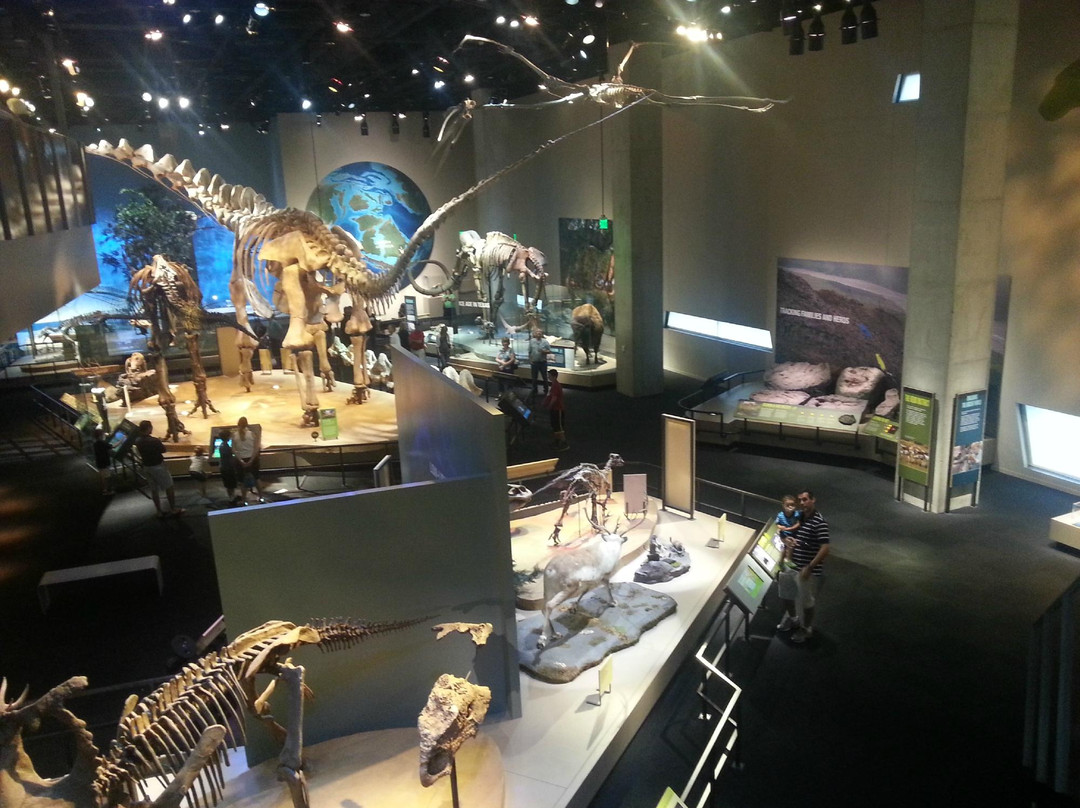 佩洛特自然科学博物馆-达拉斯必去景点