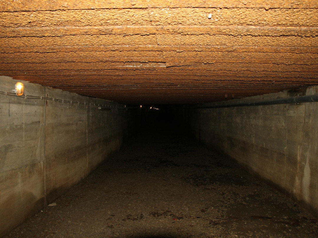 Tunel Schronowy景点图片