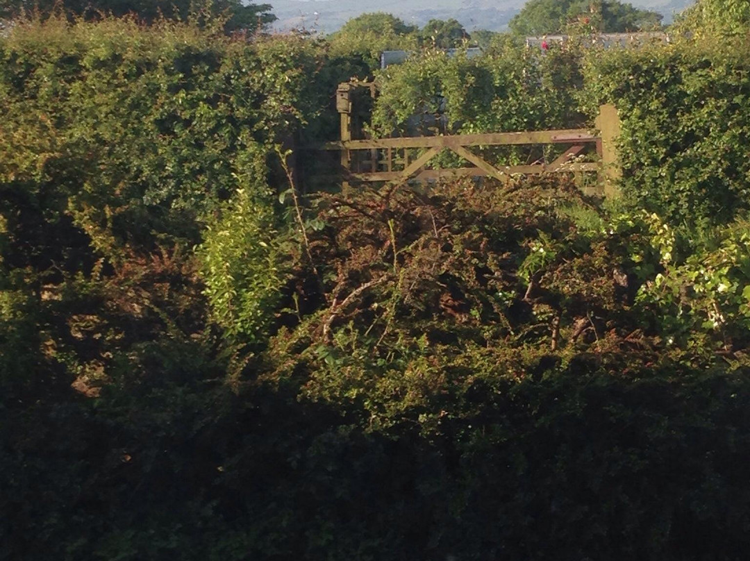 Old Whitewell Farm Bed & Breakfast主图