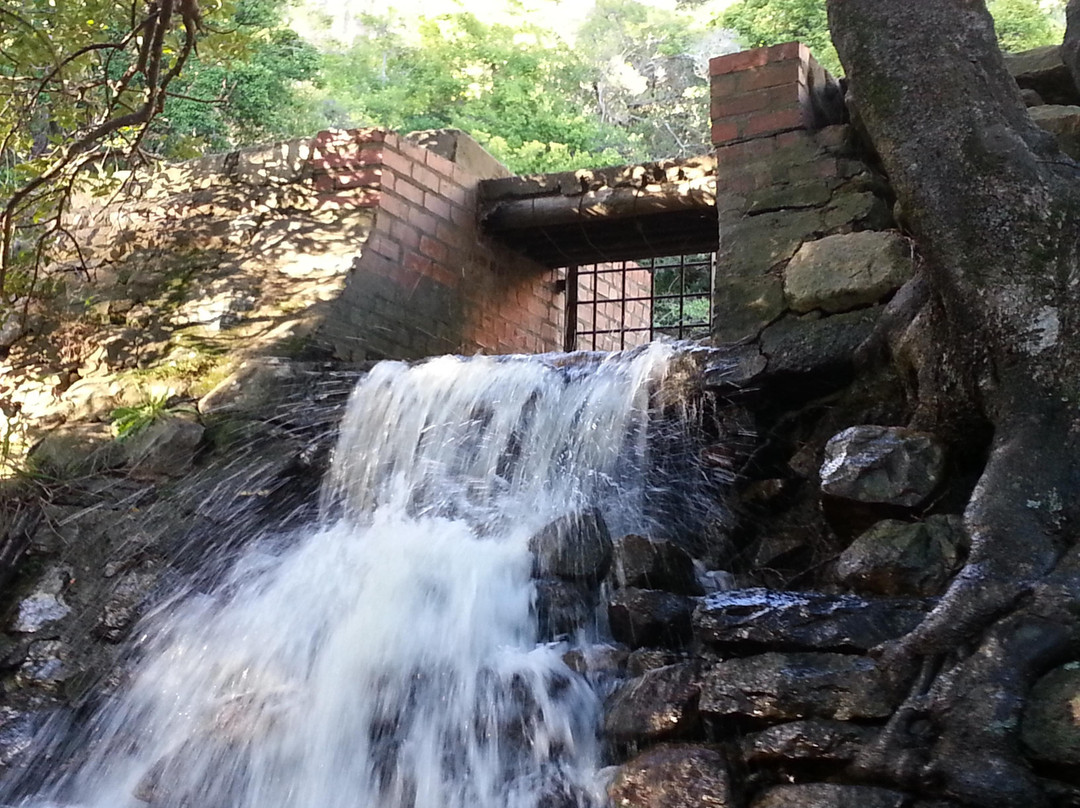 Figure of 8-Below the Surface Tunnel Tours-开普敦中心区必去景点