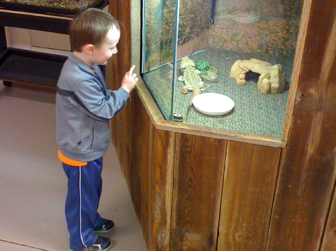 Joseph Moore Museum-里士满必去景点