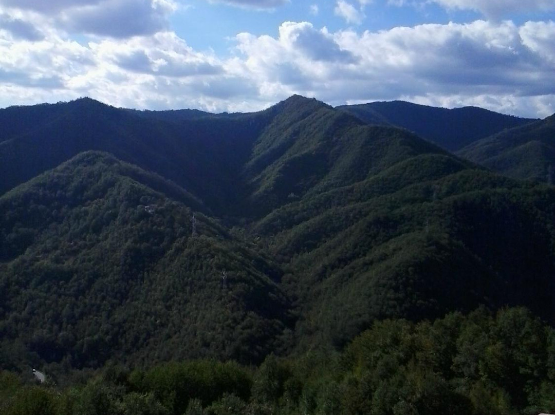 Il Faro Verde "Casa della Cultura"