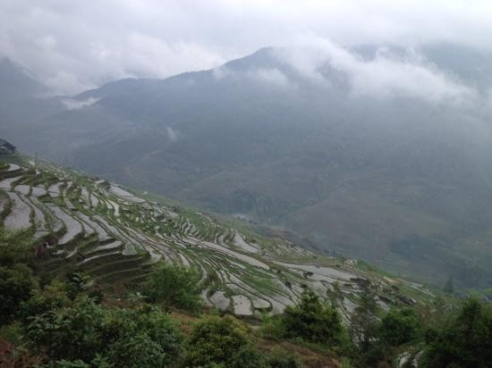 龙脊梯田景点图片
