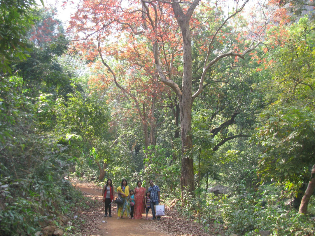 Devakunda Waterfall景点图片