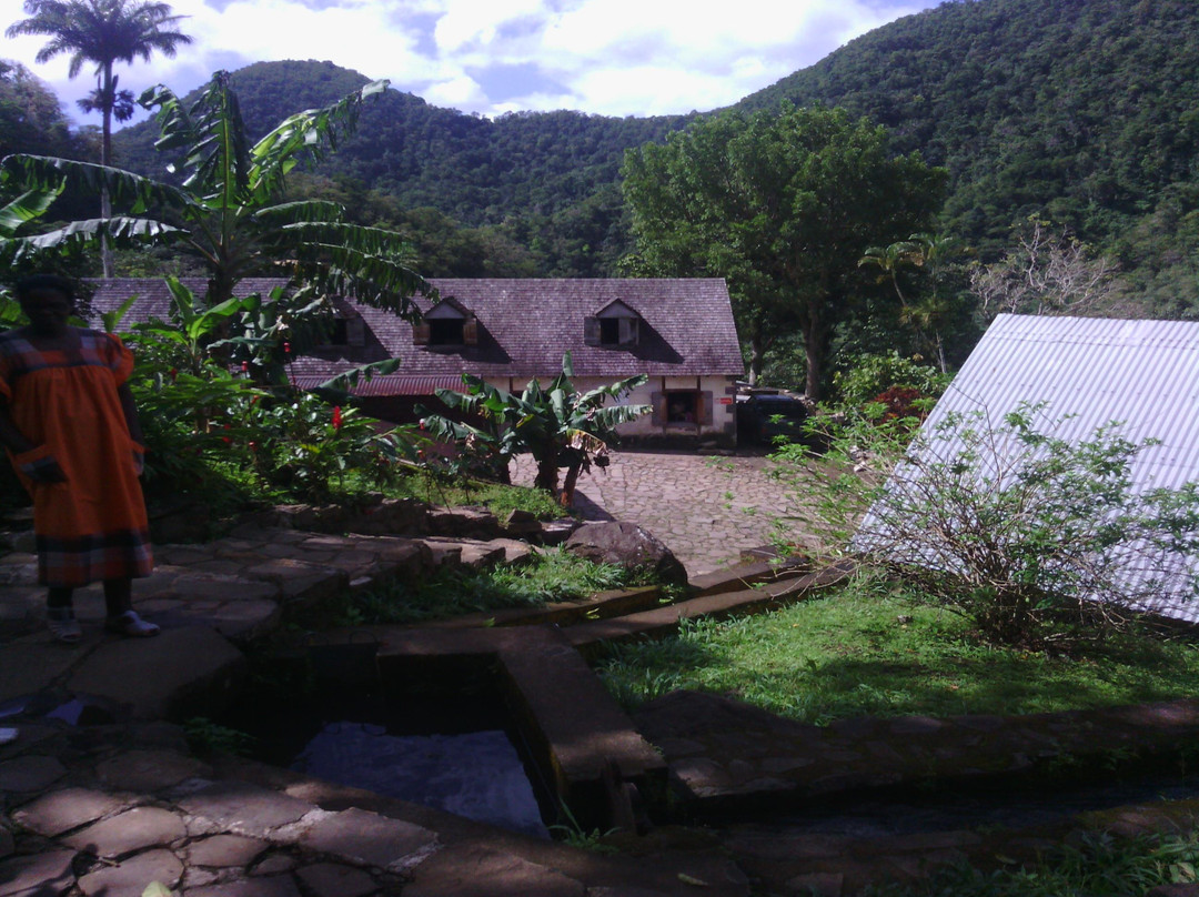 Domaine de l'Habitation la Grivelière景点图片