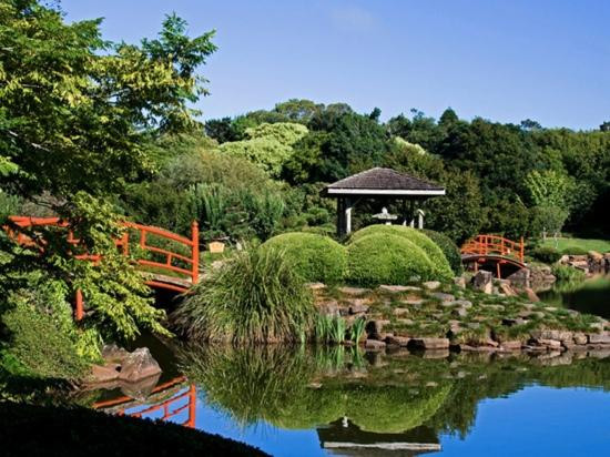 图沃柏旅游景点-Japanese Garden