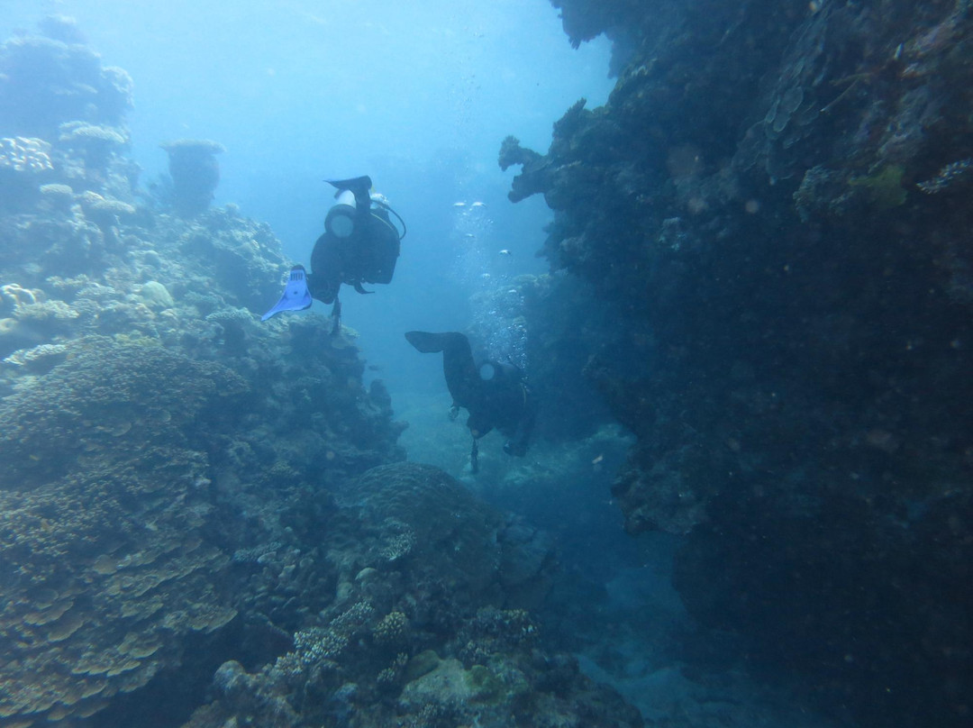 Pro Dive Cairns-凯恩斯必去景点