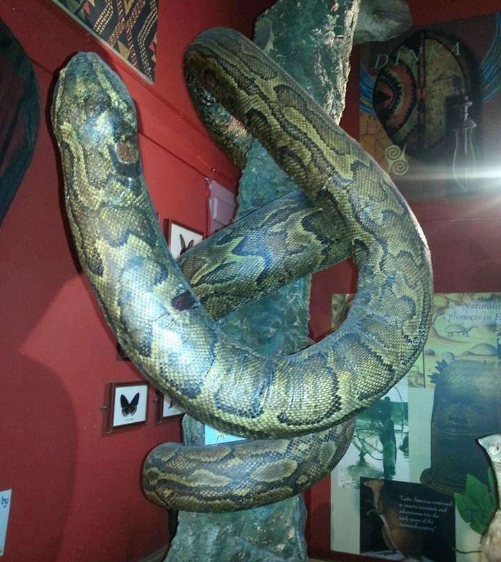 Ilfracombe Museum-伊尔弗勒科姆必去景点