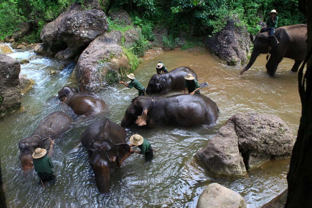 Green Hill Valley Elephant Camp- Day Tours-格劳必去景点