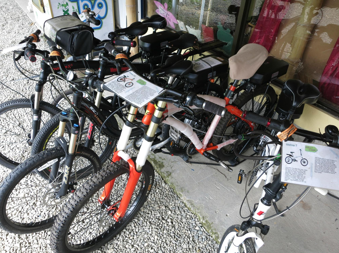 Electric Bikes-旧港必去景点
