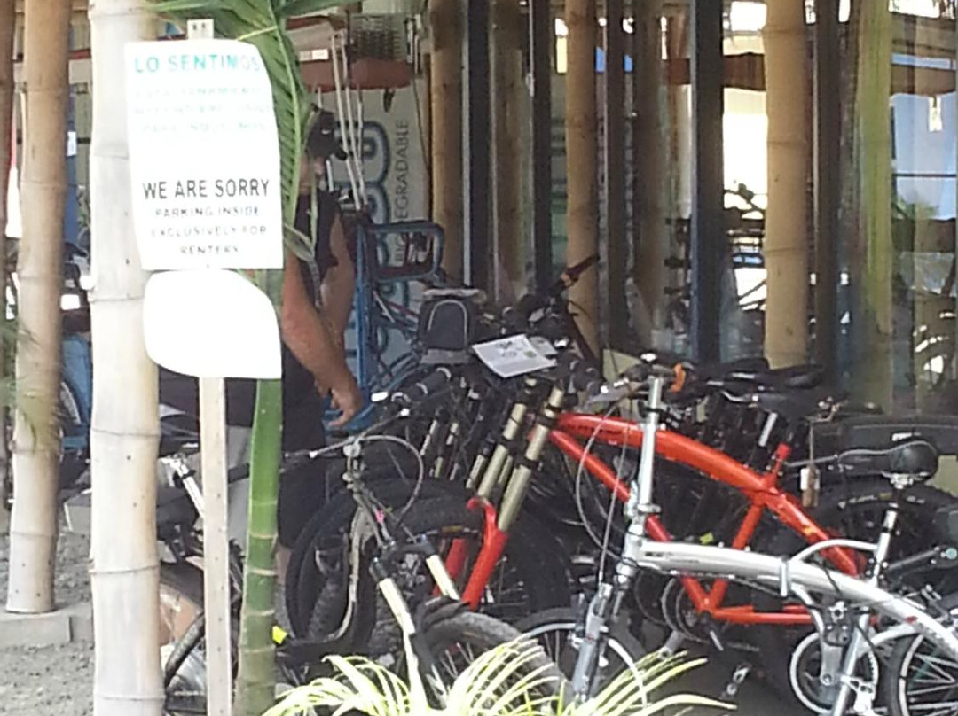 Electric Bikes-旧港必去景点