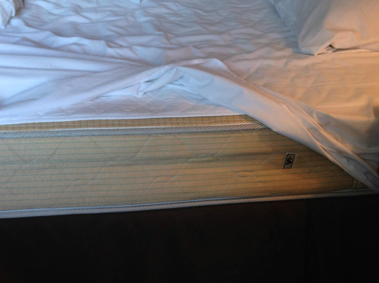 沙田丽豪酒店主图