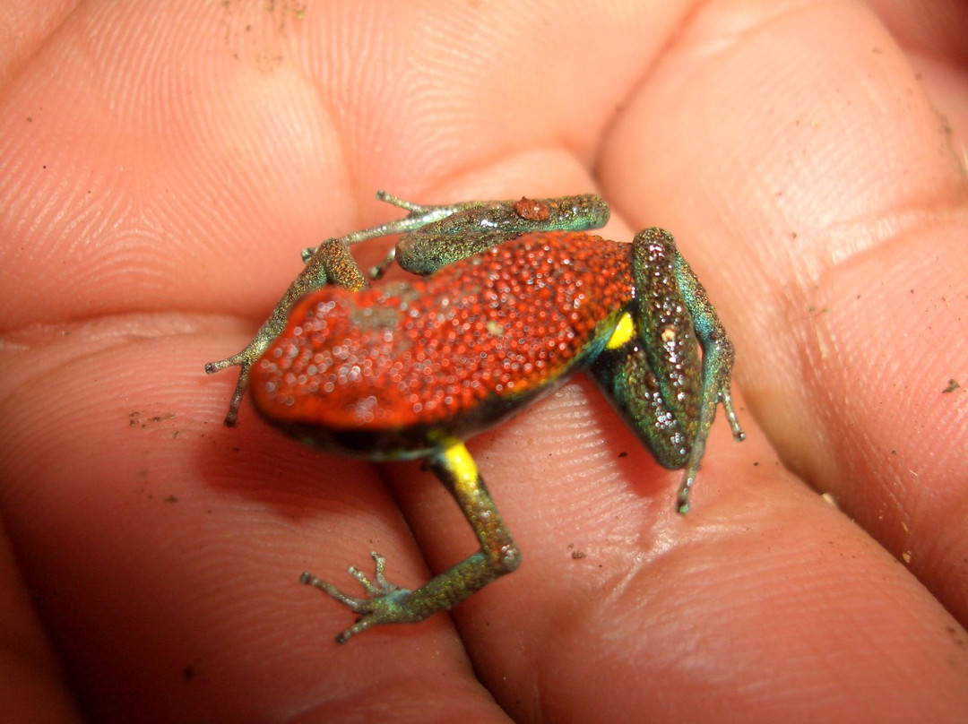 Aningatravel Baños-Ecuador-巴尼奥斯必去景点