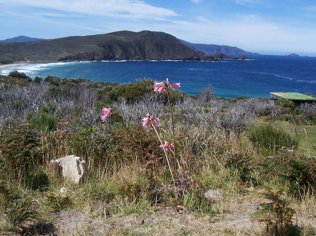 Bruny Island Safaris-霍巴特必去景点